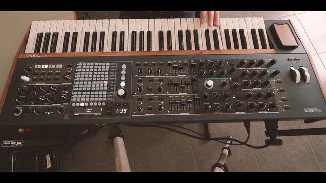 Arturia Polybrute - Custom Patches/ No Talking смотреть онлайн