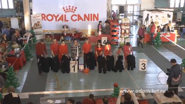 The Best Kennel Of National BRT Club Show * Лучший Питомник Монопородной выставки РЧТ