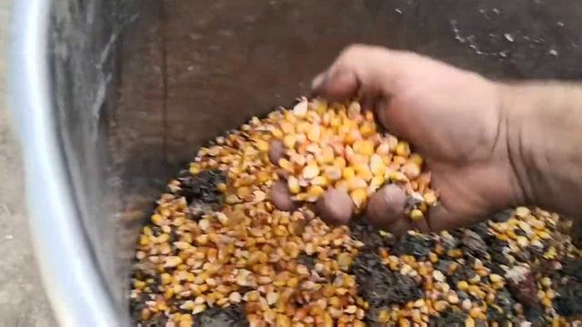 Зернодробилка . Мельница своими руками. ДКУ.