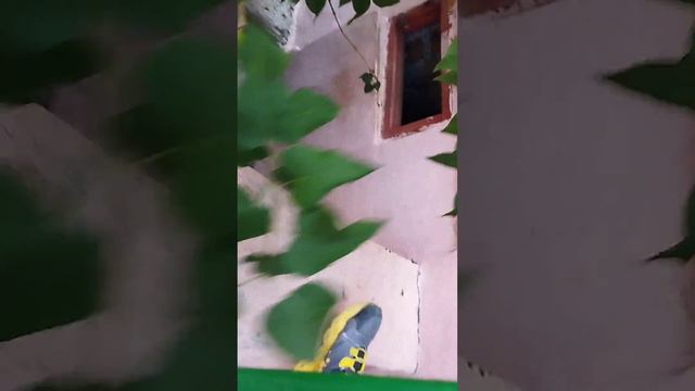 у нас плохое за нами кто то при следует смотреть онлайн