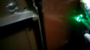 Одеваем шлейку на попугая кореллу/прогулка с попугаем/шлейка для попугая/поводок