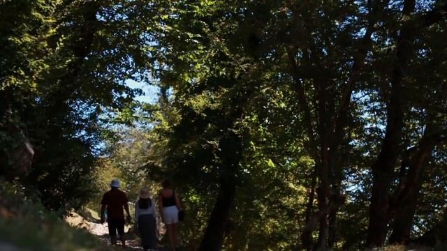 Дорожное путешествие в Абхазию | Сентябрь 2022 | Гагра, Новый Афон, Сухум | LISSAVIDEO смотреть онлайн