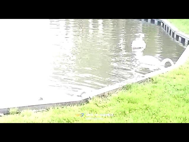 6 июня 2022 г. смотреть онлайн