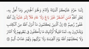 Сура 2, стр. №26, аяты 170-176, Аль-Бакара. Учебное чтение Корана.
