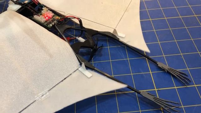 RC Pteranodon Build and Fly смотреть онлайн