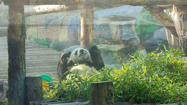 зоопарк Москва смотреть онлайн