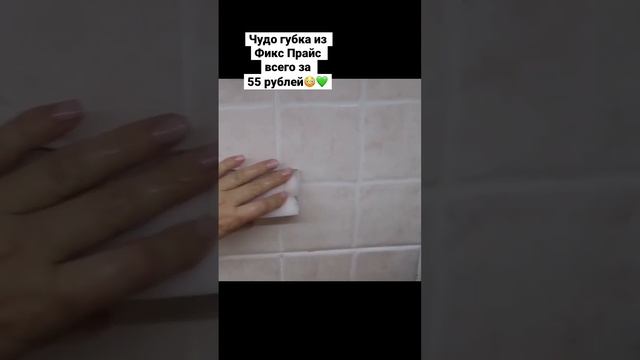 Обязательно попробуйте эту губку из Фикс Прайс #fixprice #фикспрайс #порядокнакухне смотреть онлайн