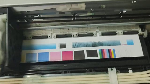 Заря ответа