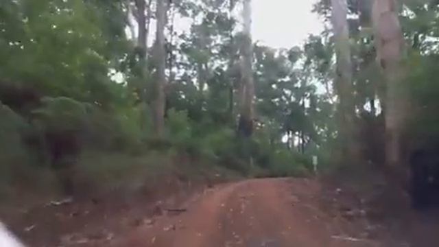 Heartbreak Trail - Pemberton / Pearl Jam смотреть онлайн