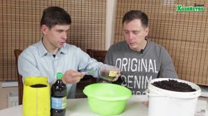 Супер грунт для выращивания огурцов на подоконнике