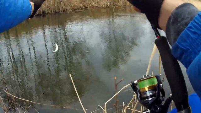 Мормышинг после зимней спячки смотреть онлайн