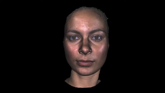 Affordable 3D Scanner HDI Advance 3D Scanner 1 смотреть онлайн