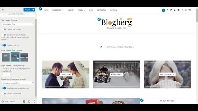 Blogberg Pro - WordPress Premium Lifestyle Blog Theme Documentation смотреть онлайн