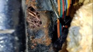 Самостоятельный ремонт днища кузова автомобиля без сварки