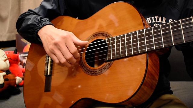 NEW/Cordoba C5 Limited@guitarshoptantan