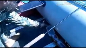 Рыбалка на р. Бия на хариуза