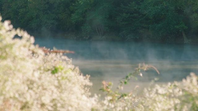 Звуки природы | Видео для релаксации | Sounds Of Nature | Relaxation Videos