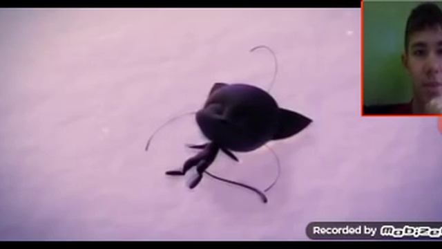 Леди Баг и Супер кот худшее рождество обзор 1 смотреть онлайн