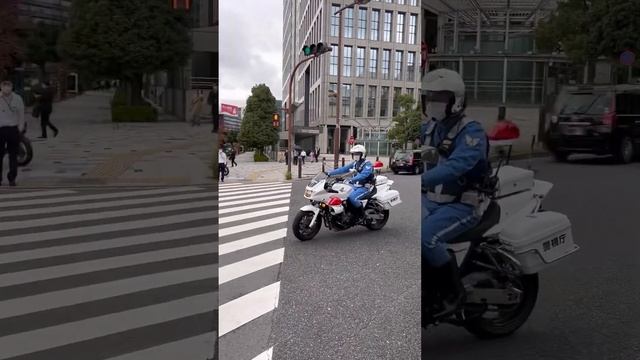 Япония: сашими, суши, сырая конина, китовое мясо… // Sashimi, Sushi, Whale Raw Meat, Horse Raw Meat