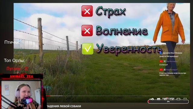 Смотрим как защититься от кусак! смотреть онлайн