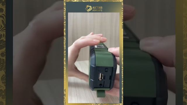 Портативная колонка DEXP P450 смотреть онлайн