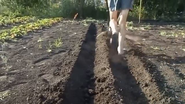 приспособление для посадки картофеля смотреть онлайн