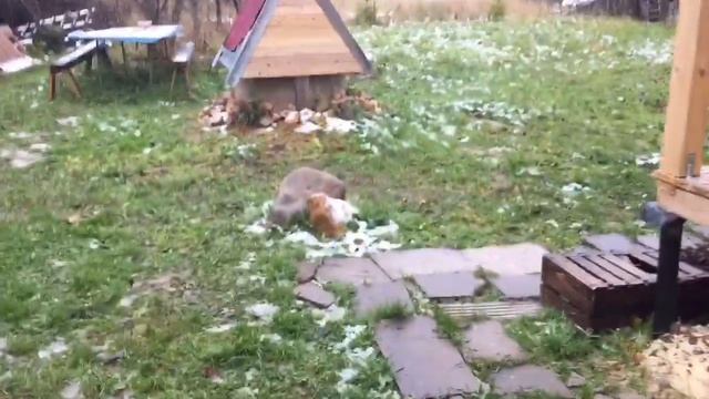 Наша дача/веранда своими руками/вкусный гороховый суп на мангале/ смотреть онлайн