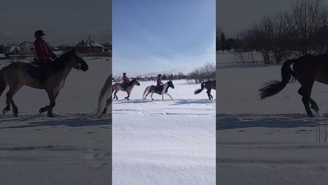 галоп в полях смотреть онлайн