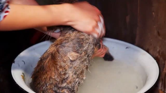 МОЛОДАЯ СЕМЬЯ СТРОИТ ДОМ СВОЕЙ МЕЧТЫ В ДЕРЕВНЕ смотреть онлайн