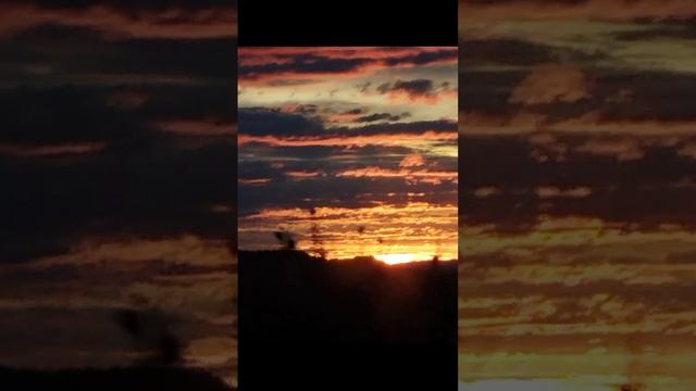 Ночной Трамвай смотреть онлайн