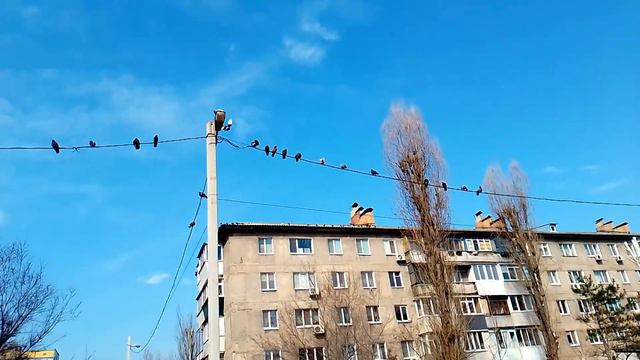 Тёплый март смотреть онлайн
