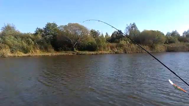 Собака на рыбалке смотреть онлайн