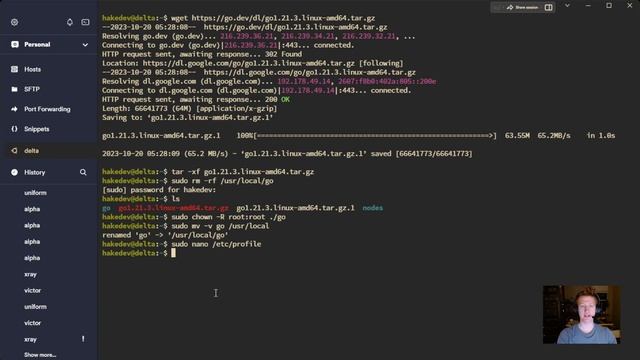 Install Go and grpcurl on Ubuntu смотреть онлайн