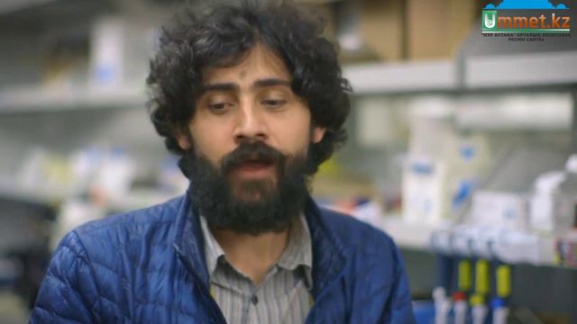 Красота науки присутствуют во всем смотреть онлайн