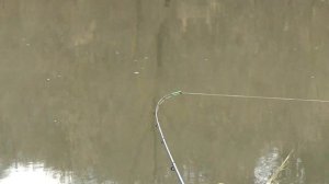 Открытие фидерного сезона 2023. Что можно поймать за три часа на реке?