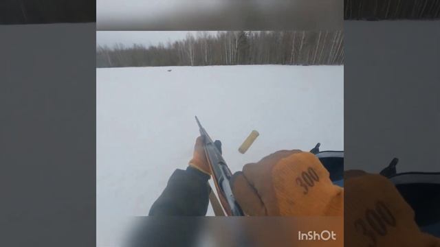 Охота на снегоходе. Нежелательный вид. Охота на лису. Снегоход Arctic cat. Ружье МЦ 20-01 смотреть онлайн