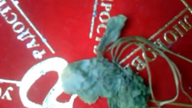 магия клевера смотреть онлайн