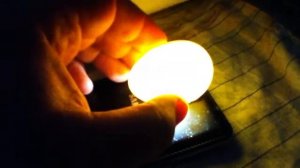 Овоскопирование куриного яйца на 8ые сутки