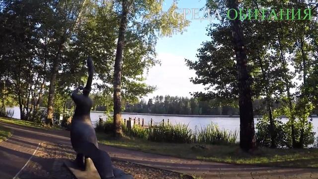 Озеро в элитном поселке Довиль! смотреть онлайн