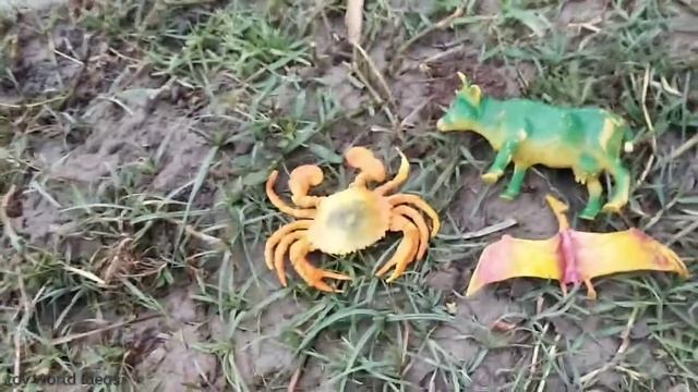 cleaning zoo animals #singa #cow #lion #giraf #tiger #duck #scorpion смотреть онлайн