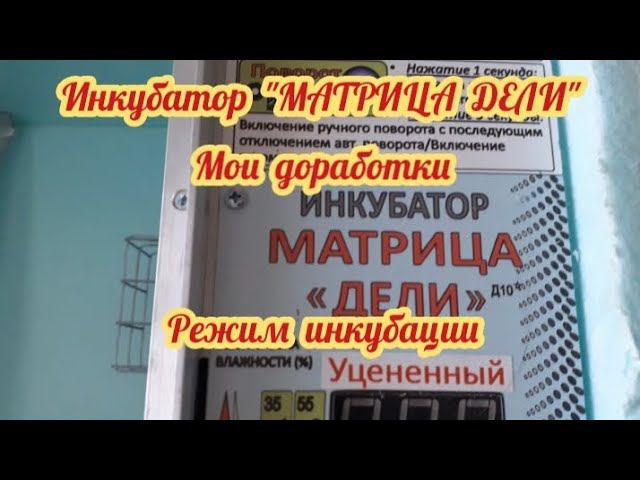 Доработка инкубатора. Мой режим инкубации куриных яиц. Выход сто процентов.... смотреть онлайн