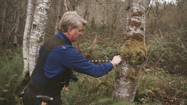 Tree Fort Hardware: Treehouse Attachment Bolt (TAB) Installation смотреть онлайн