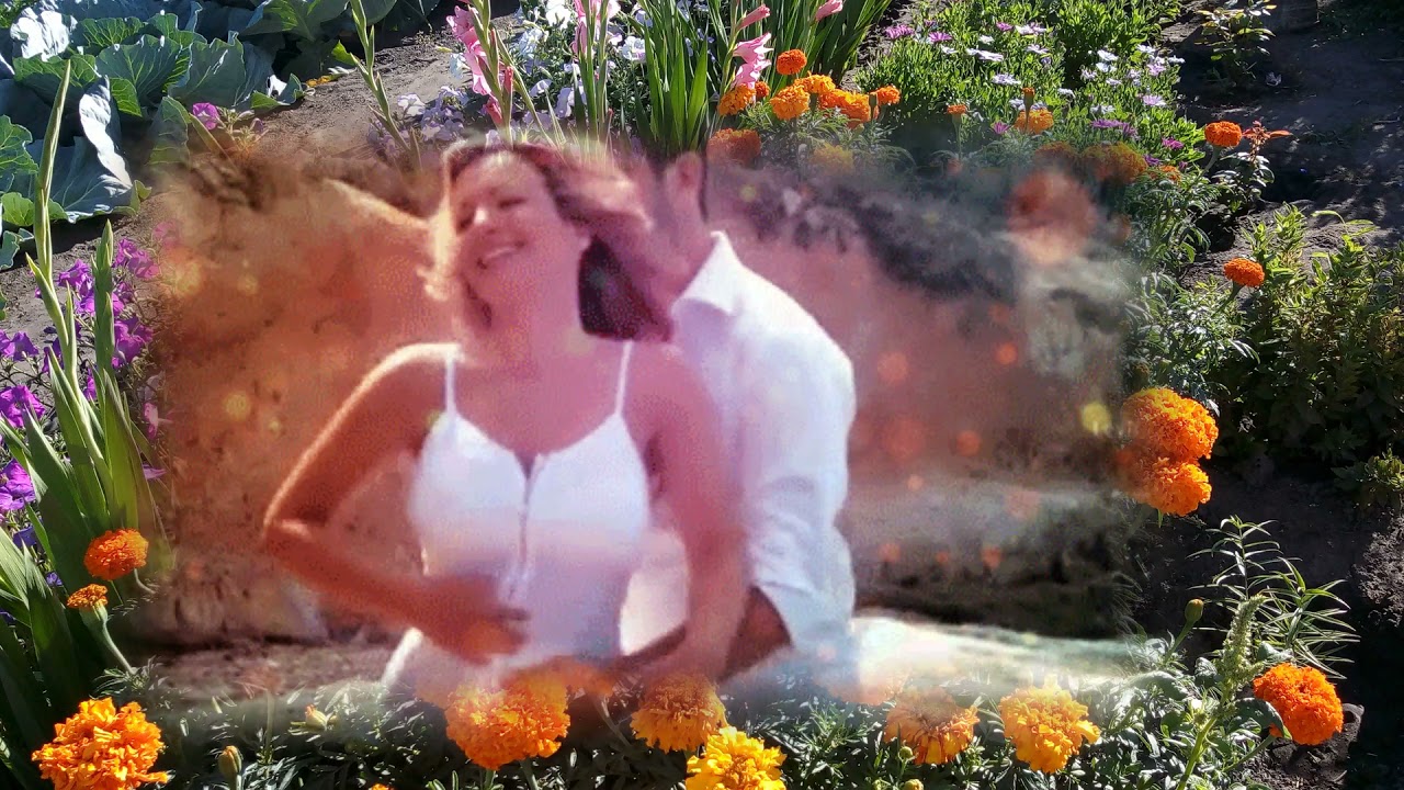 Моя Невеста . исп Сергей Пискун смотреть онлайн