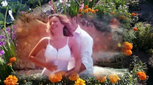 Моя Невеста . исп Сергей Пискун