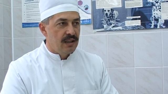 Bezdomnie Sobaki Eco TV смотреть онлайн