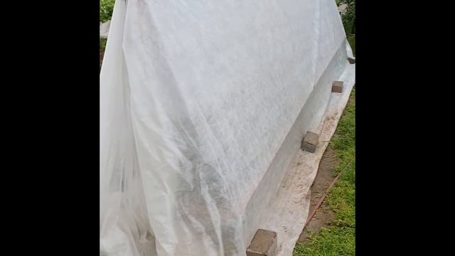 125 Грядка для огурцов из теплой грядки своими руками смотреть онлайн