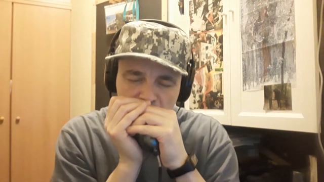 Blues - Lee Oskar E natural minor harmonica (2nd position) смотреть онлайн