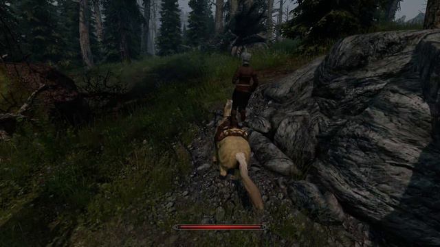 Skyrim: Not Regenerating FNIS
