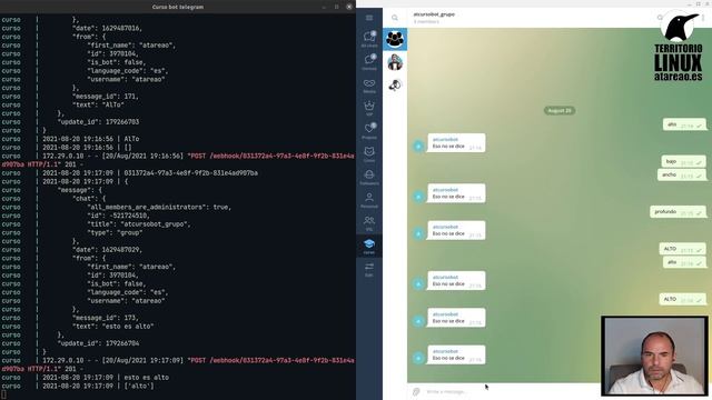 Tutorial de bots para Telegram con Python. Capítulo 10. Filtrar palabras en un grupo de telegram. смотреть онлайн