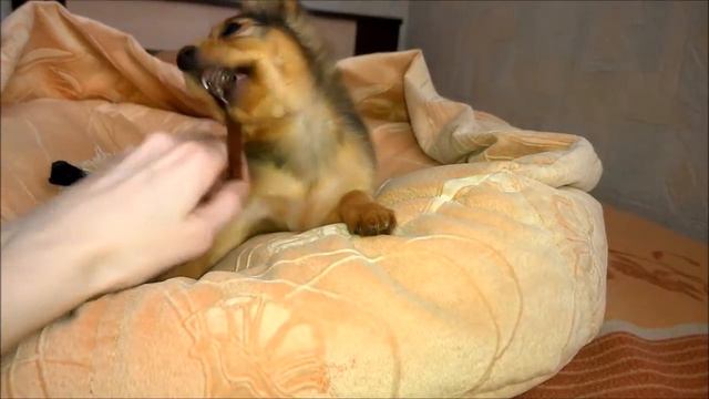 Каприз Души Джессика смотреть онлайн